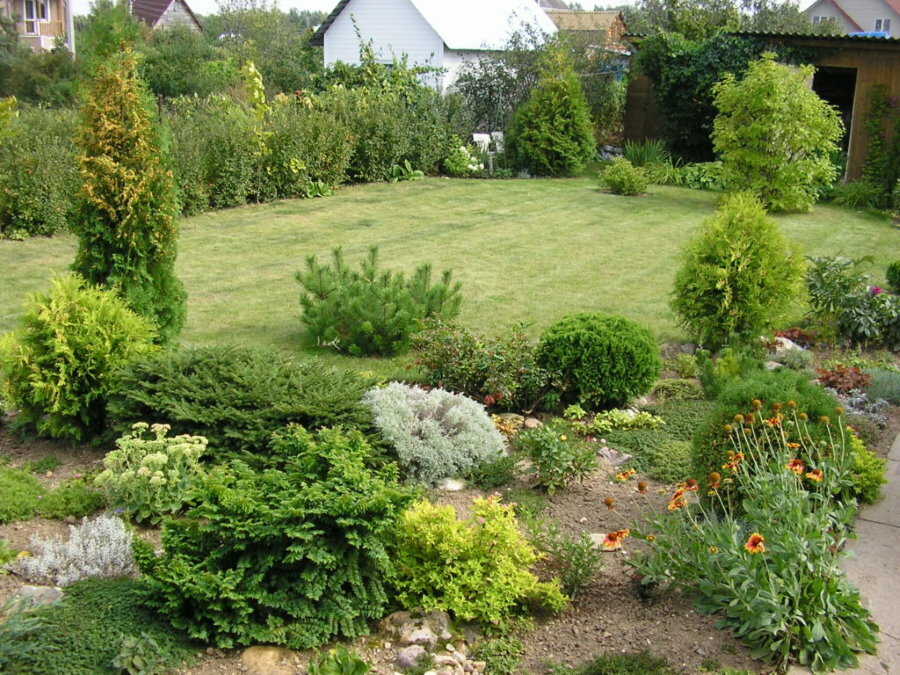 Landscaping of the territory of a summer cottage of a small area