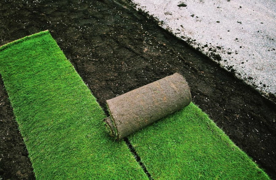 Układanie trawnika rolkowego na żyznej glebie