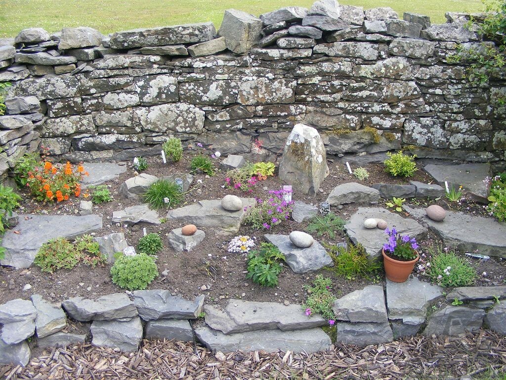 גן סלעים קיר סלעי בגינה