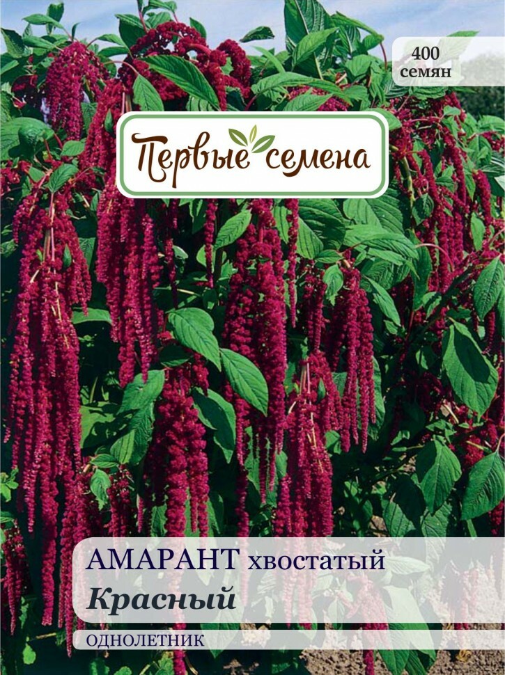 Flower seeds First seeds Tailed amaranth Red, 0.3 g