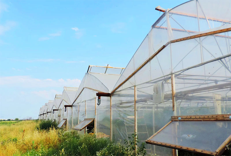 What film can be an alternative to polycarbonate in a greenhouse