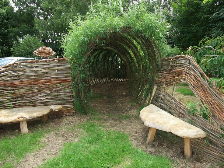 Willow tunnel arch in a suburban area
