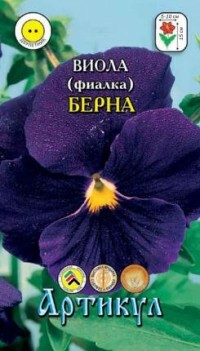 Semená. Viola (fialová) Berna, tmavo purpurová (hmotnosť: 0,1 g)