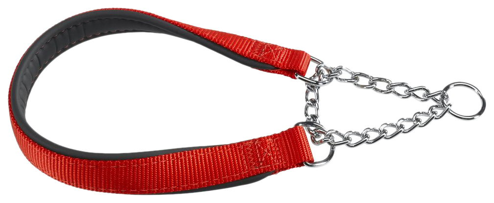 Halsband för hundar Ferplast DAYTONA CSS15 / 45 röd 75234922