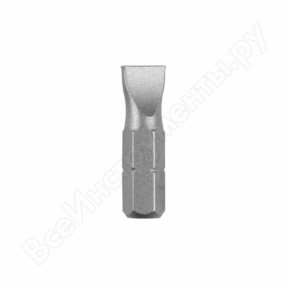 Šikšnosparnis (pl. 0,6x4,5 mm; 25 mm; 2 vnt.) „Bosch“ 2609255908
