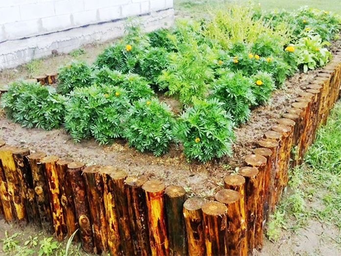Baumstämme können in den Boden gegraben werden, eine solche Struktur ist stark genug für ein Gartenbett. Der Croaker muss jedoch mit selbstschneidenden Schrauben an den Rahmen genagelt oder geschraubt werden