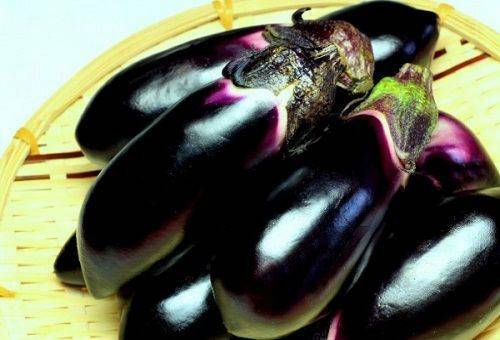 Hoe aubergines bewaren: invriezen, knuppel, vers product opslaan