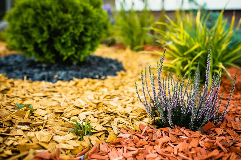 If you spread this covering in an even layer, it will turn out very beautifully, and bare areas of soil in the flower bed will not be conspicuous.