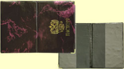 Okładka na paszport, kolorowa, PVC,