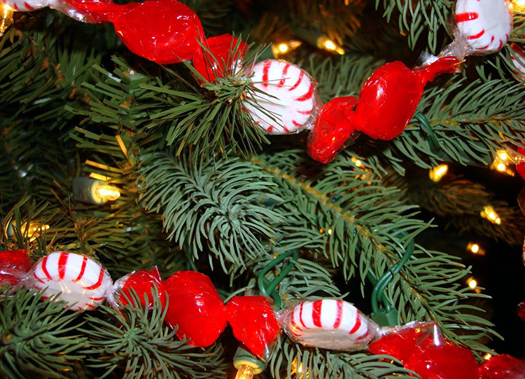 Maiustustest saate jõulupuu jaoks teha helgeid helmeid. Selleks saate ümbriste sabad kinnitada tavalise klammerdajaga.