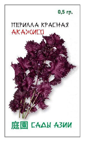 Semena perille rdeče Akadzhiso, 0,5 g Azijski vrtovi