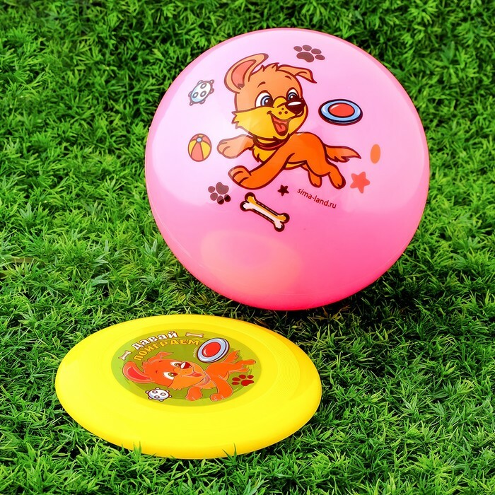 Lekesett: frisbee, ball for barn \