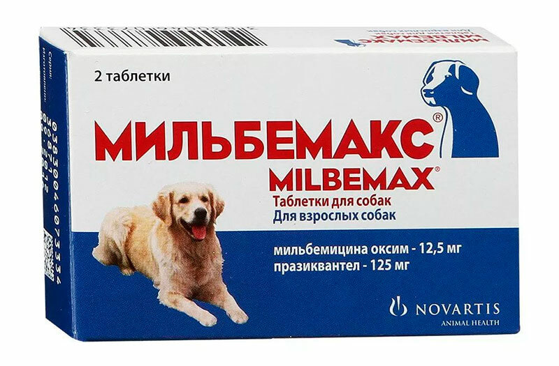 התרופה הטובה ביותר עבור תולעים לכלבים
