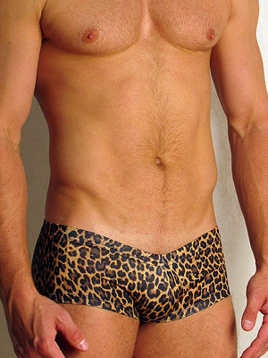 Doreanse Leopard Collection 1852c01 Pantaloni a vita bassa leopardati leggeri e audaci
