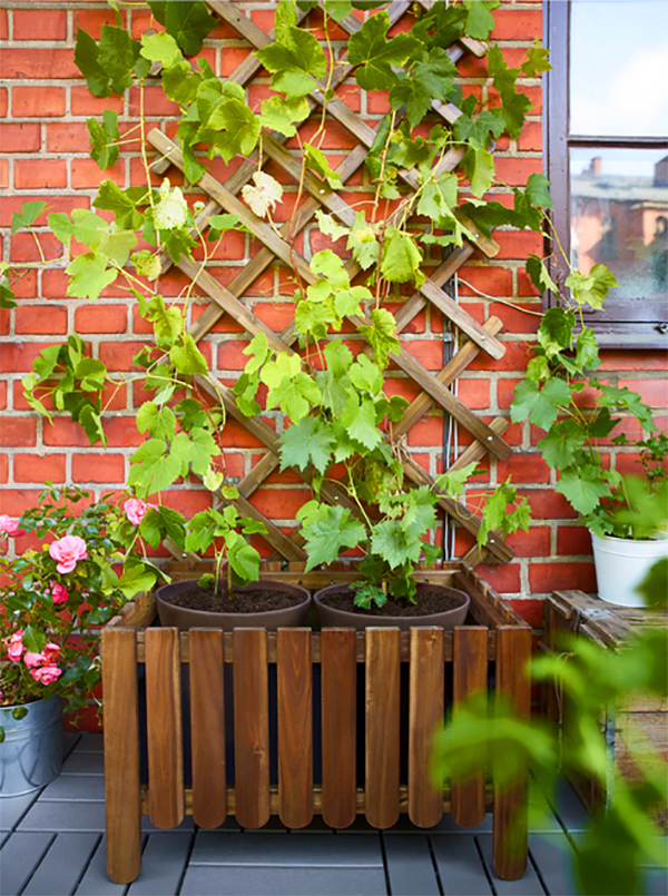 Winter garden on the balcony: what you can buy inexpensively at IKEA