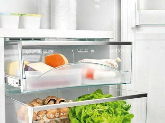Buzdolabı Hotpoint Ariston: tipine ve özelliklerine bağlı olarak cihazın modellerini ve özelliklerini seçmenin nüansları