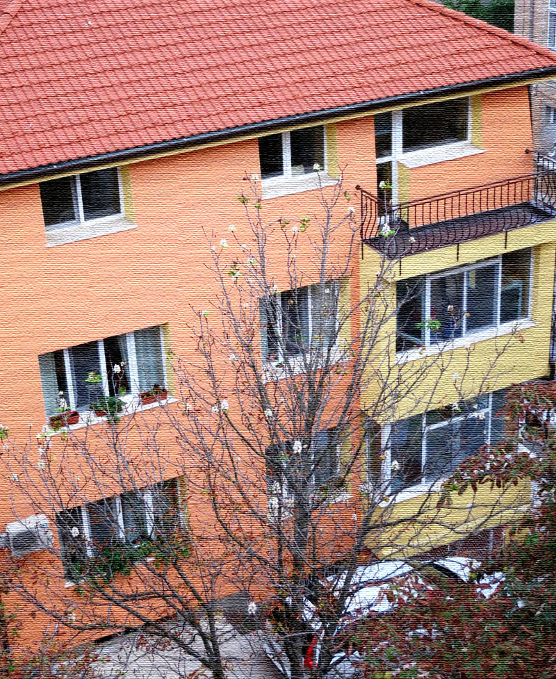 Moderatamente osceno: case e appartamenti di Yuri Loza