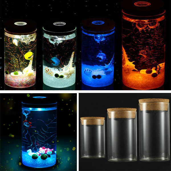 Bottiglia di vetro cilindrica con micro paesaggio di muschio fai-da-te con vaso di piante succulente a luce LED colorata