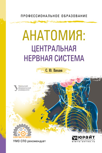 Anatomia: sistema nervoso centrale. Tutorial per software open source