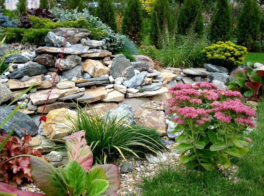 jardín de rocas en el jardín