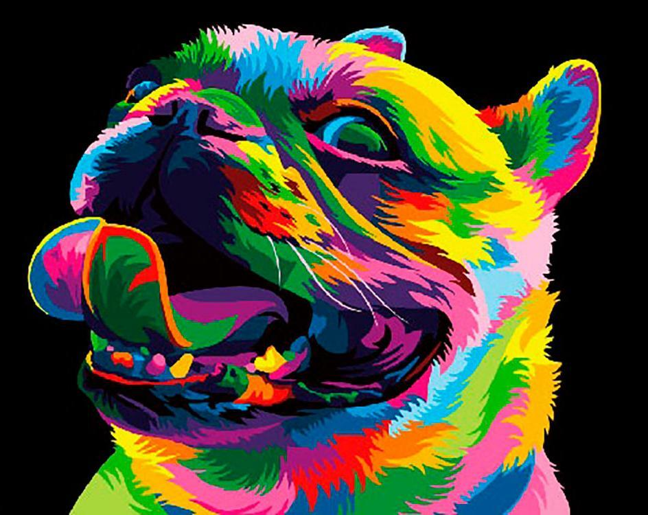 Peinture par numéro " Rainbow Bulldog"