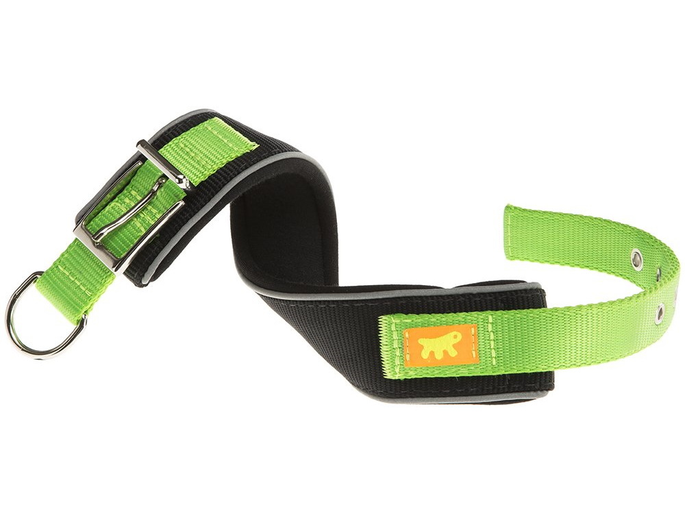 Halsband Ferplast Daytona comfort Cf für Hunde (Länge: 45-53 cm Breite: 40 mm, Grün)