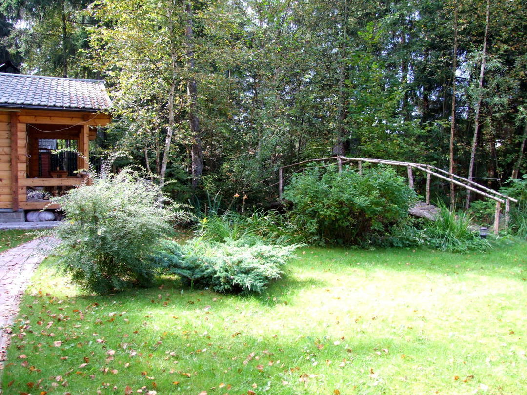 Country plot in the forest-style