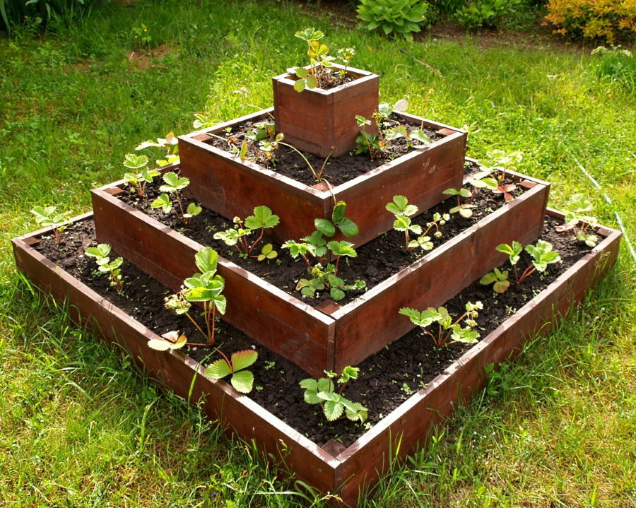 High bed with planted strawberries