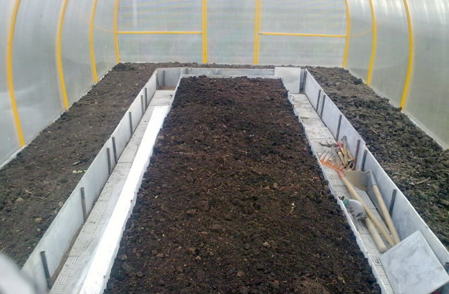 Arrangement of warm beds in a country greenhouse
