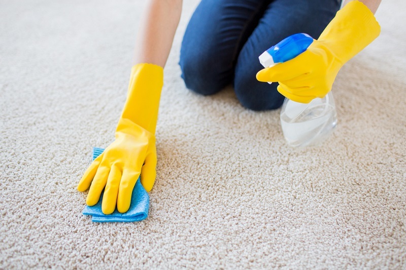 How to clean a shaggy carpet with home remedies?