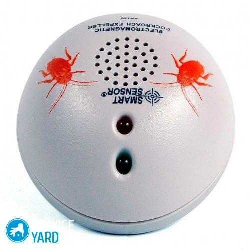 Ultrasonic repeller of cockroaches