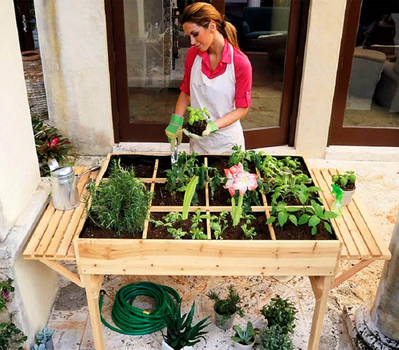Salatgrønt kan plantes i en så høy bordboks. Det vil være en virkelig glede å passe på henne, et slikt bord kan plasseres på et solfylt sted.