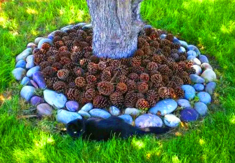 Uma opção interessante é preencher o círculo do tronco com cones. Se você não tiver uma escassez deles, esta é uma ótima idéia. Aliás, os cones também podem ser tingidos.