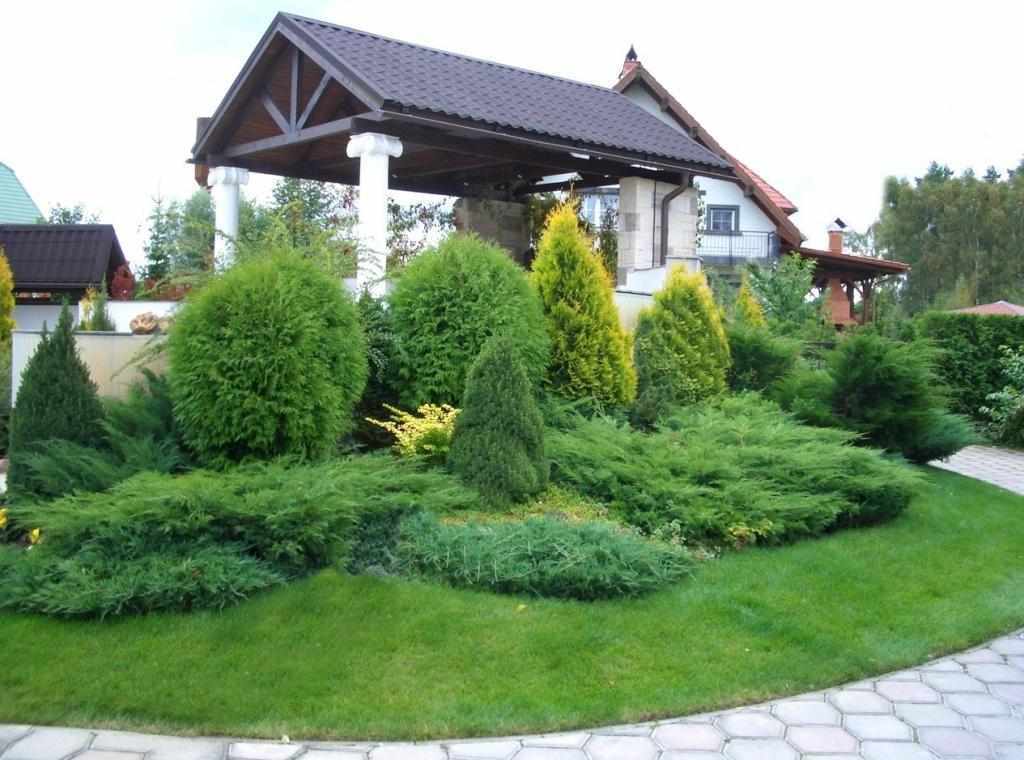 A flower bed with thuja and junipers near the garden gazebo