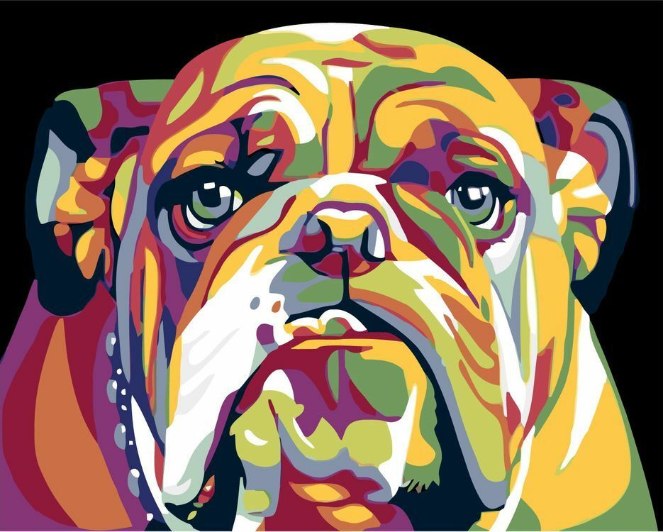Peinture par numéro " English Bulldog"