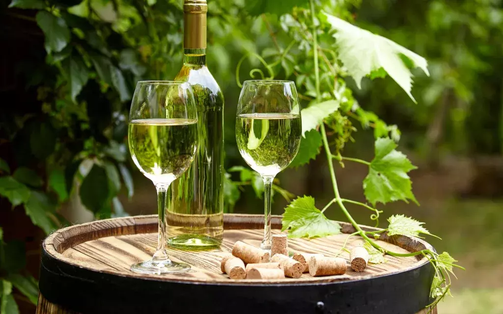 Klaasid valge veiniga