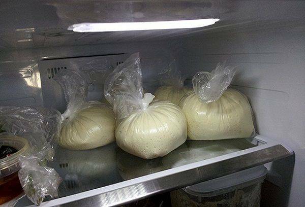 How to store the yeast dough correctly: where and how much?