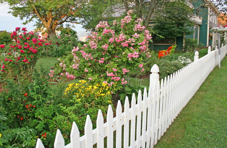 Dekoration av en blomsterträdgård i en trädgård med ett vitt staket