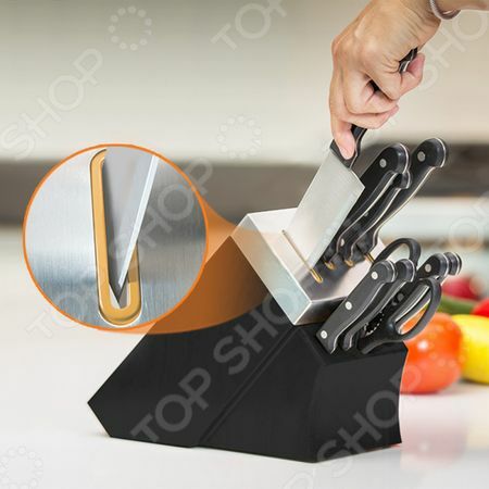 Set of knives with stand and knife Delimano " Chef"