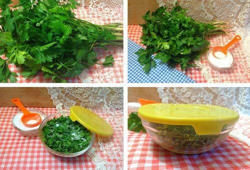 How to keep fresh parsley for the winter: how to freeze, store and use