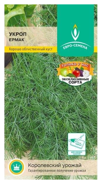 Sėklos Krapai Ermak, 1 g Euro-Seeds