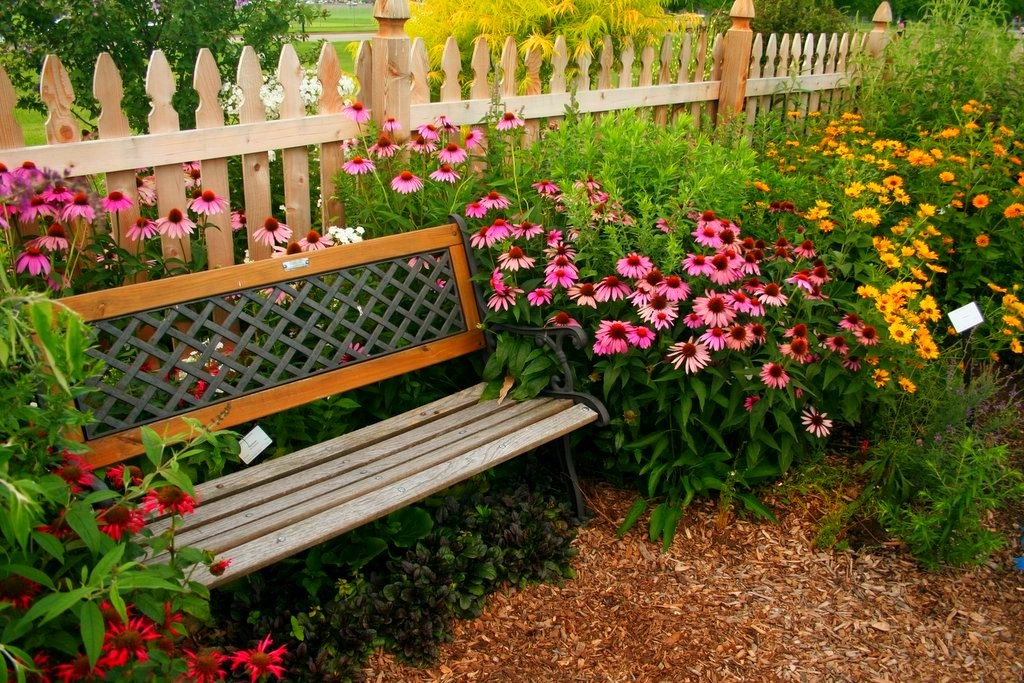 ספסל ליד ערוגות פרחים