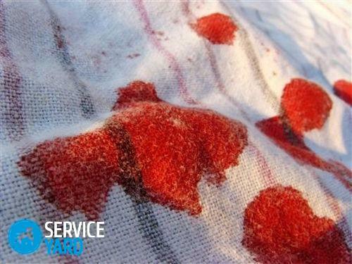 Wie man Blutflecken von Kleidung entfernt?
