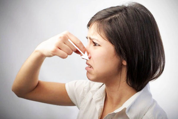 VVS -skydd: förhindrar obehaglig lukt 