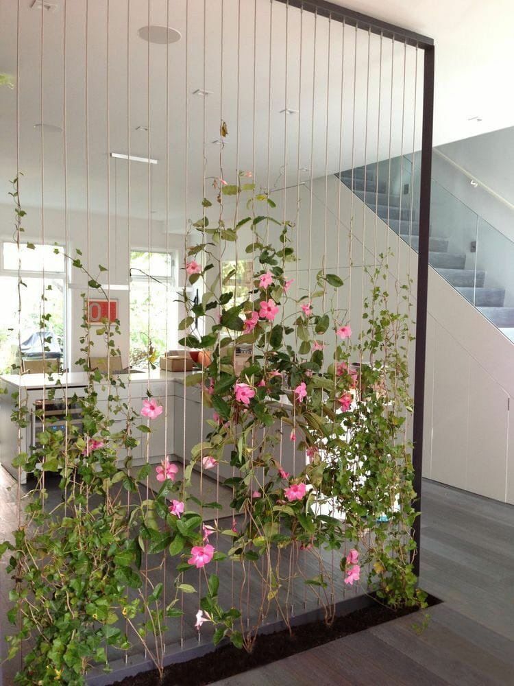 Living room decor with climbing plants