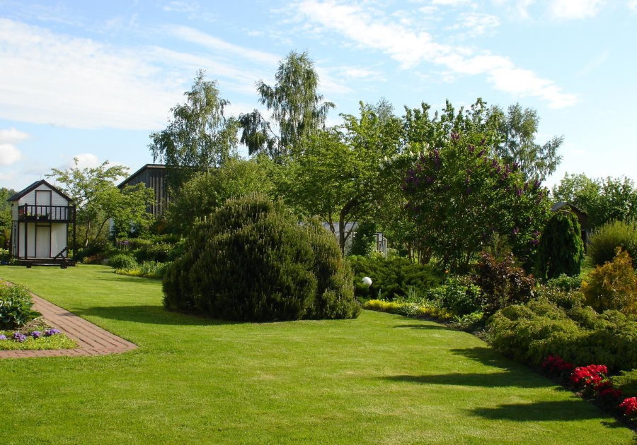 Gładka powierzchnia trawnika w ogrodzie