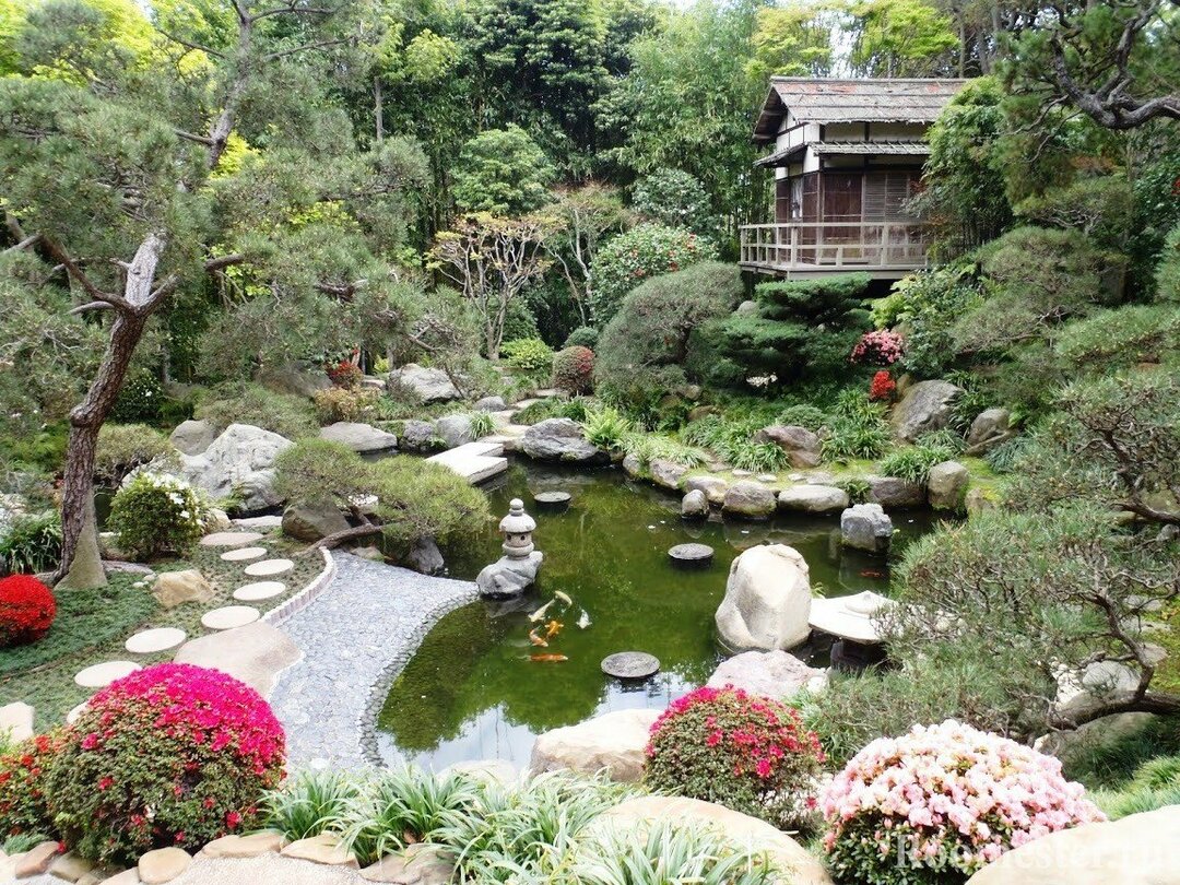 oblikovanje vrta v japonskem slogu