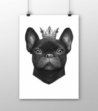 Poster der Bulldog-Königin