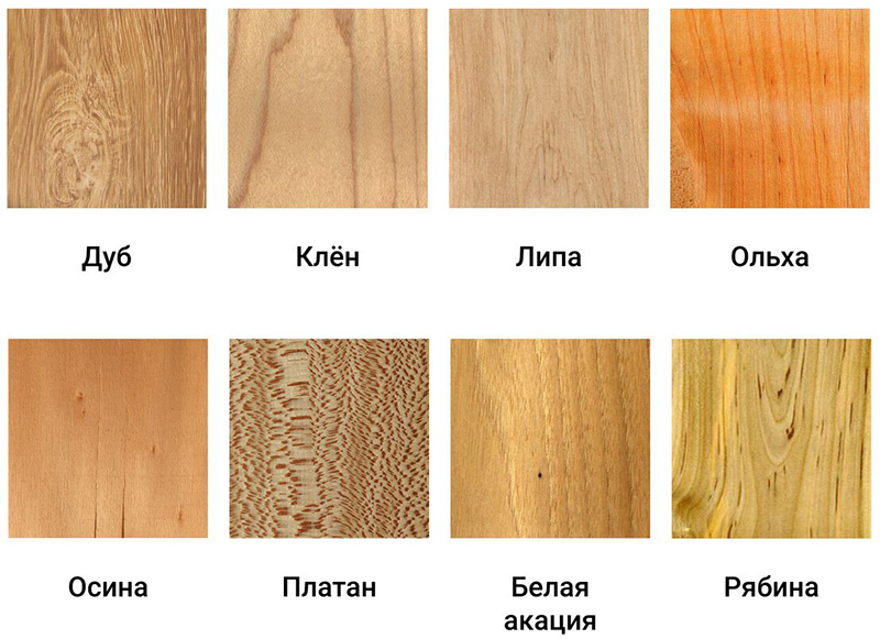 Kiekviena medienos rūšis turi savo stipriąsias ir silpnąsias puses, į kurias reikia atsižvelgti renkantis betoninius laiptus.