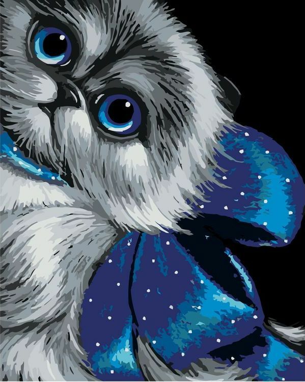 Maľovať podľa čísla „Mačka s modrou mašľou“